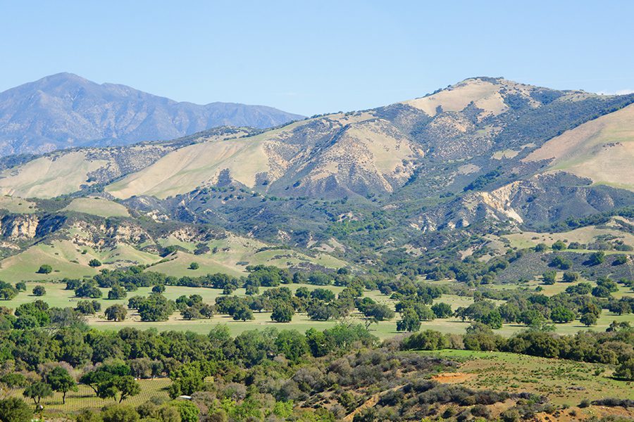 Upland, CA - View of a Landscape with Trees and Mountains in the Background in California on a Sunny Day
